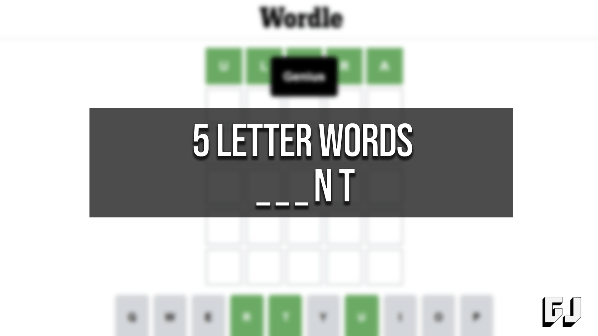 5 Letter Words Ending NT