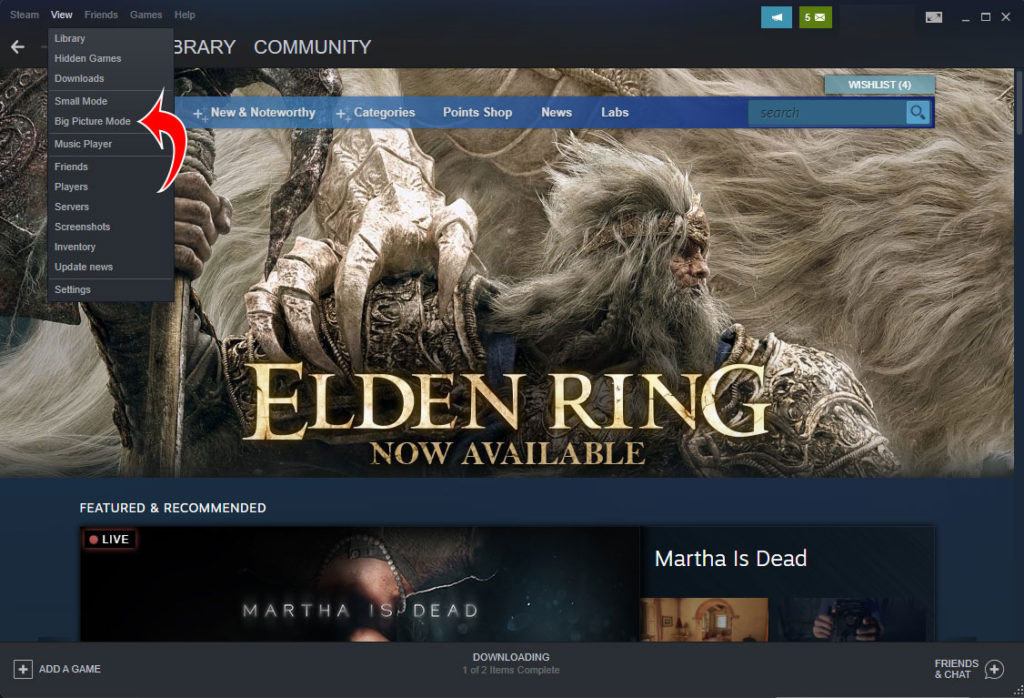 ELDEN RING no Steam