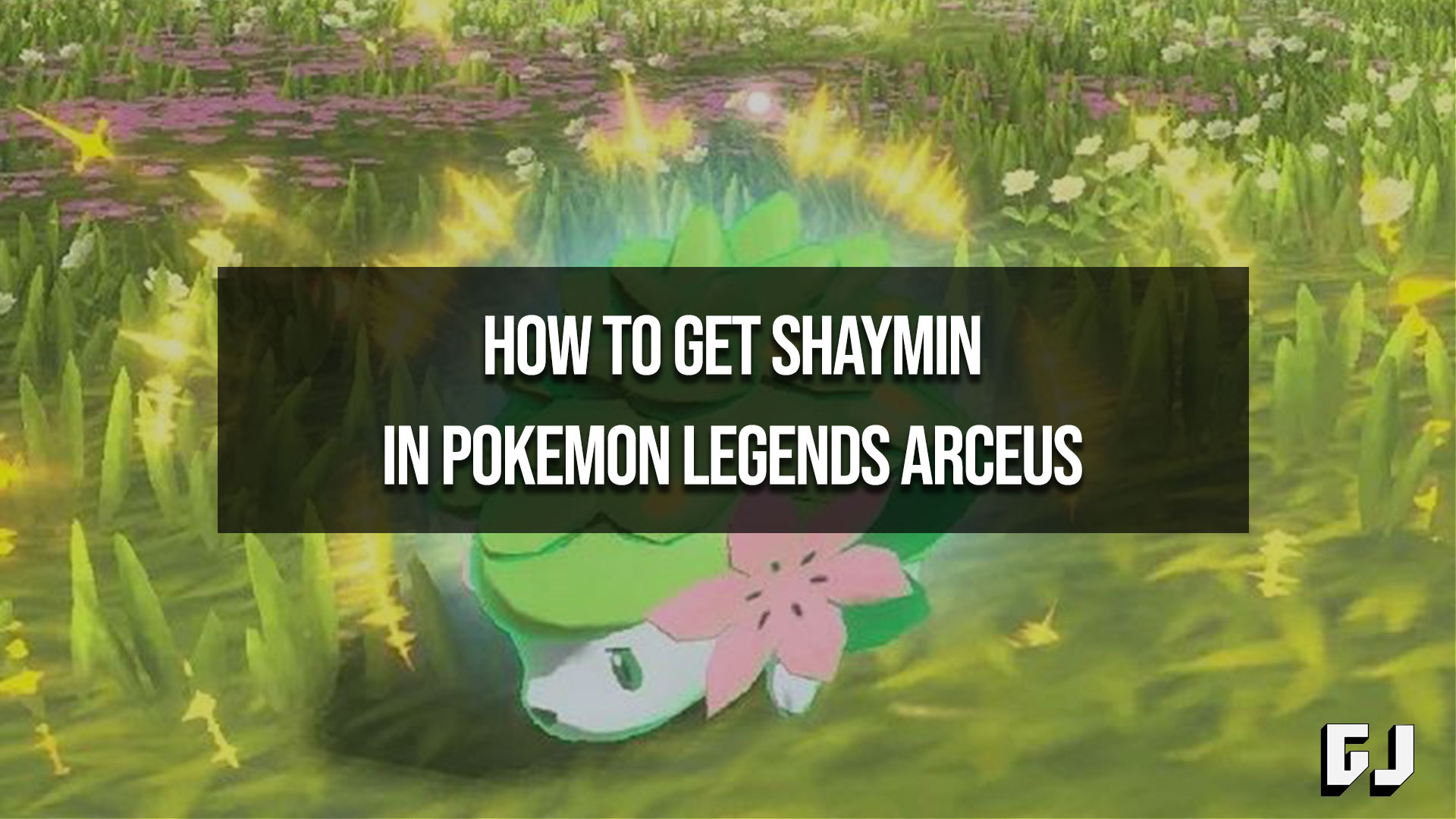 How to get Shaymin in Pokémon Legends: Arceus