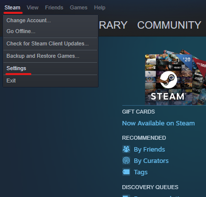 Steam Settings 01