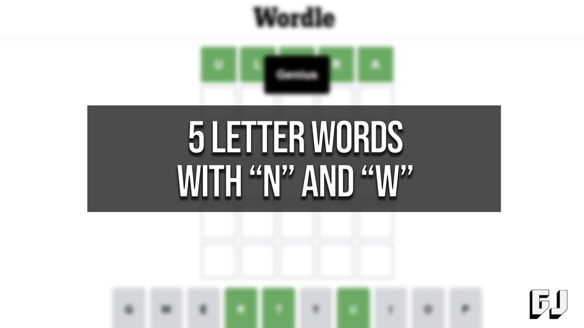 5 Letter Words with N and W
