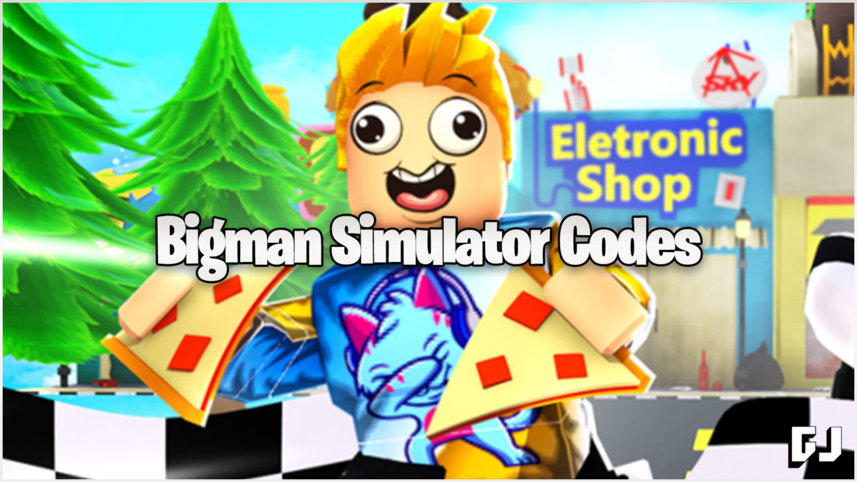 Bigman Simulator Codes