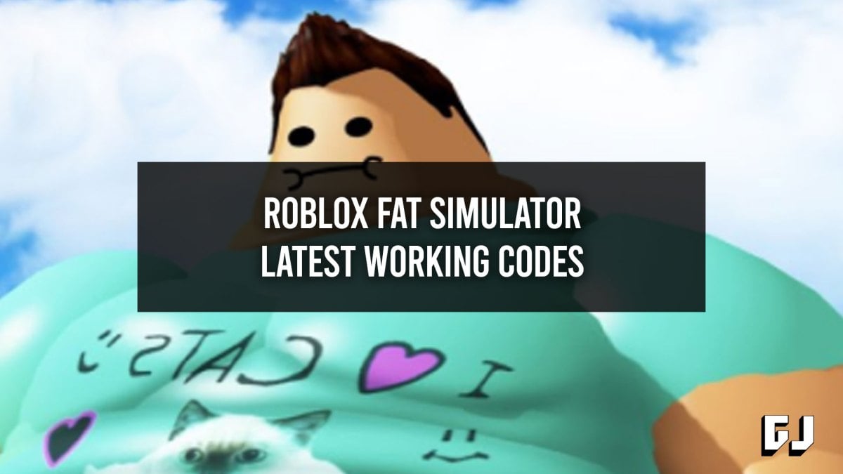 Fat Simulator Codes