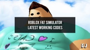 Fat Simulator Codes