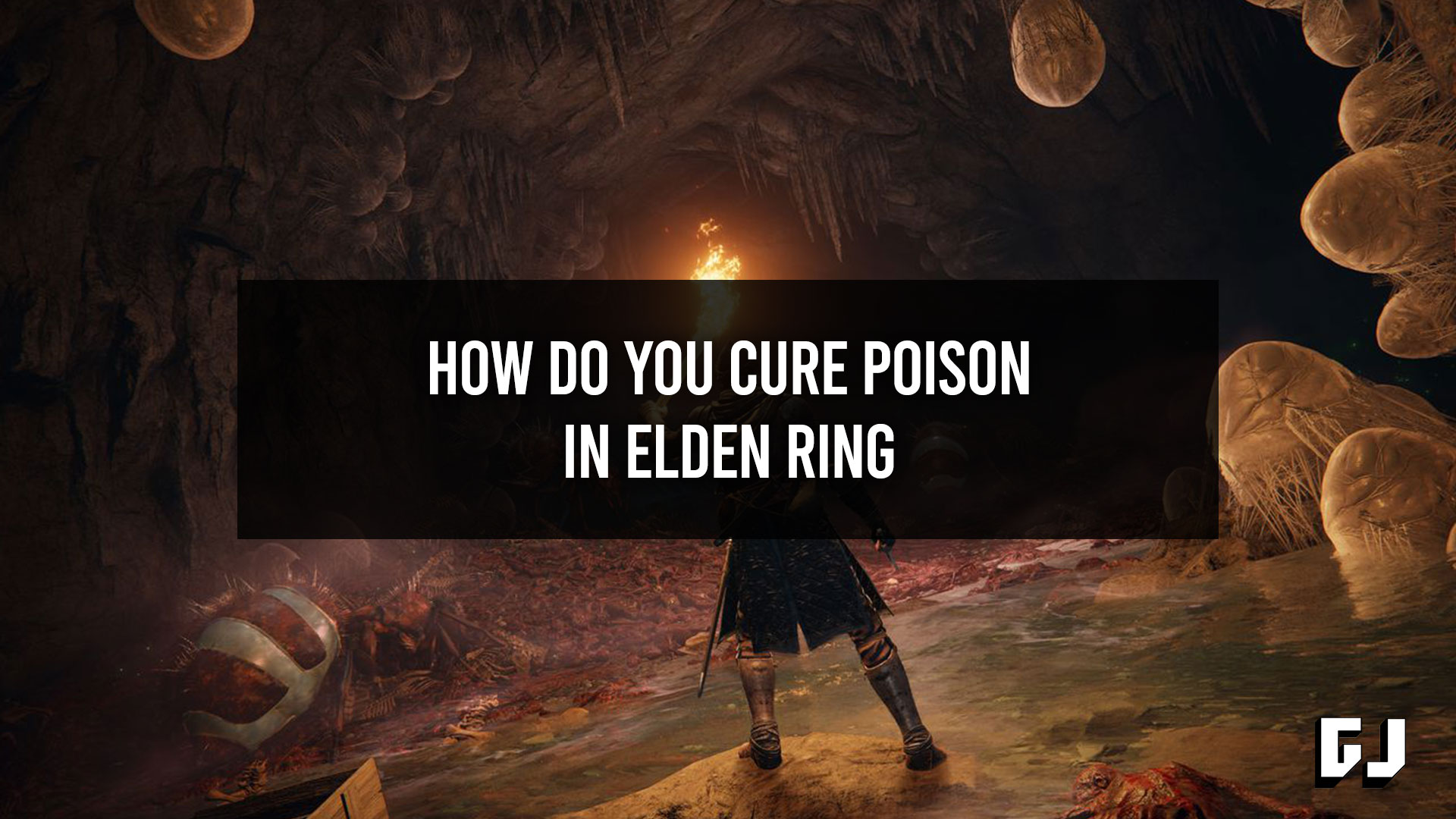 Elden ring яд. Анти яд.