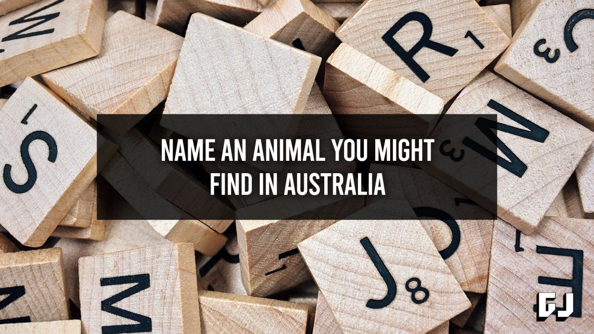 Name An Animal You Might Find in Australia - Word Clue