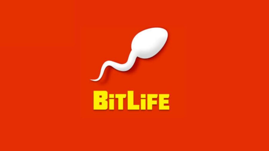 how to buy yacht bitlife