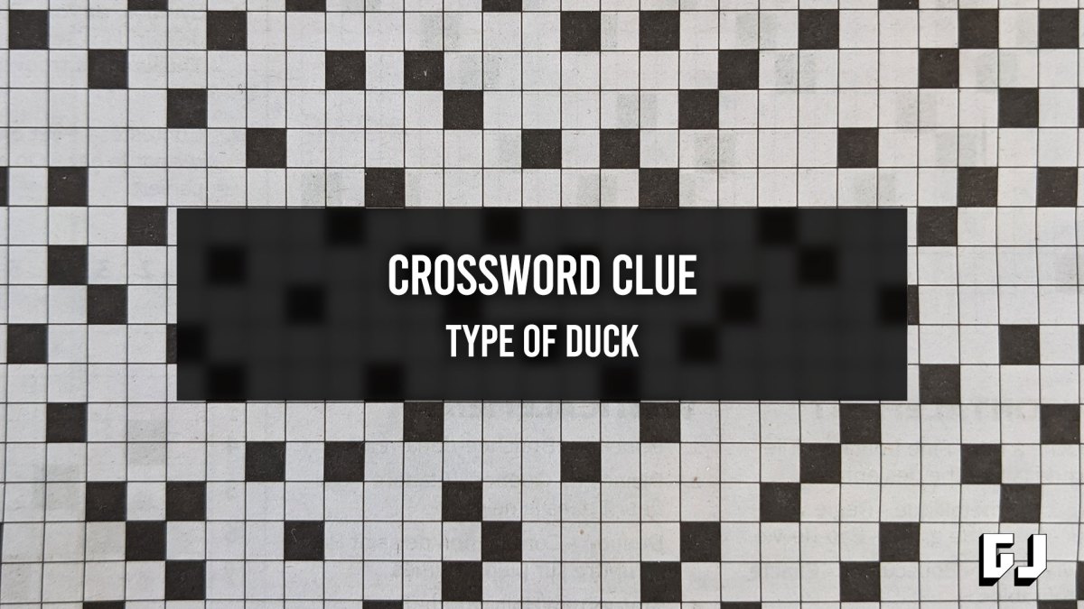 Type of Duck - Crossword Clue