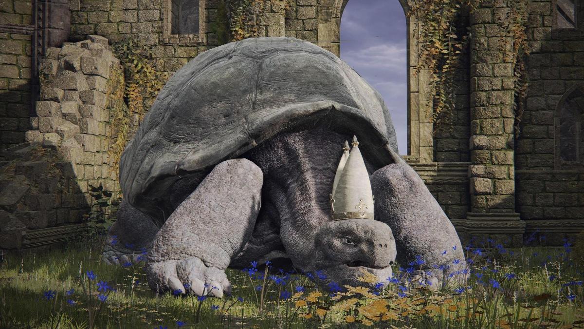 What Happens if You Kill the Pope Turtle in Elden Ring?