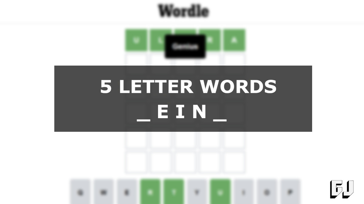 5 Letter Words EIN Middle