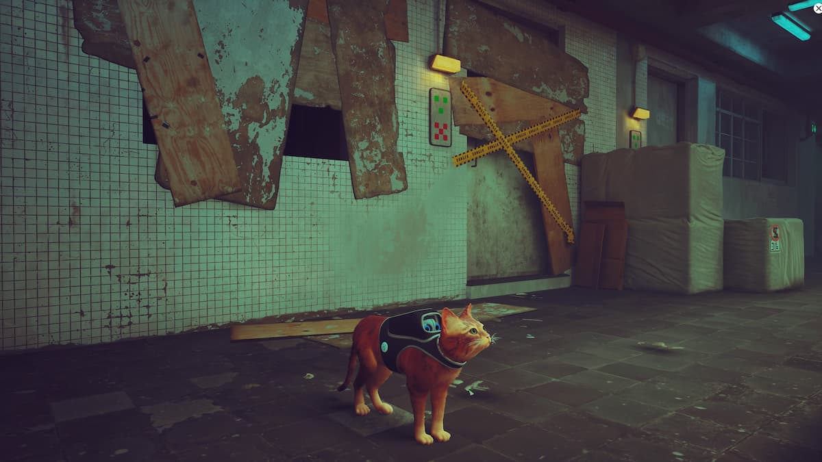 How to Get Helmet and Jacket in Stray Gamer Journalist