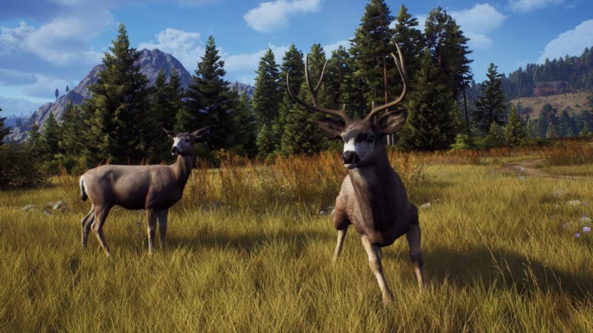 deers from way of the hunter