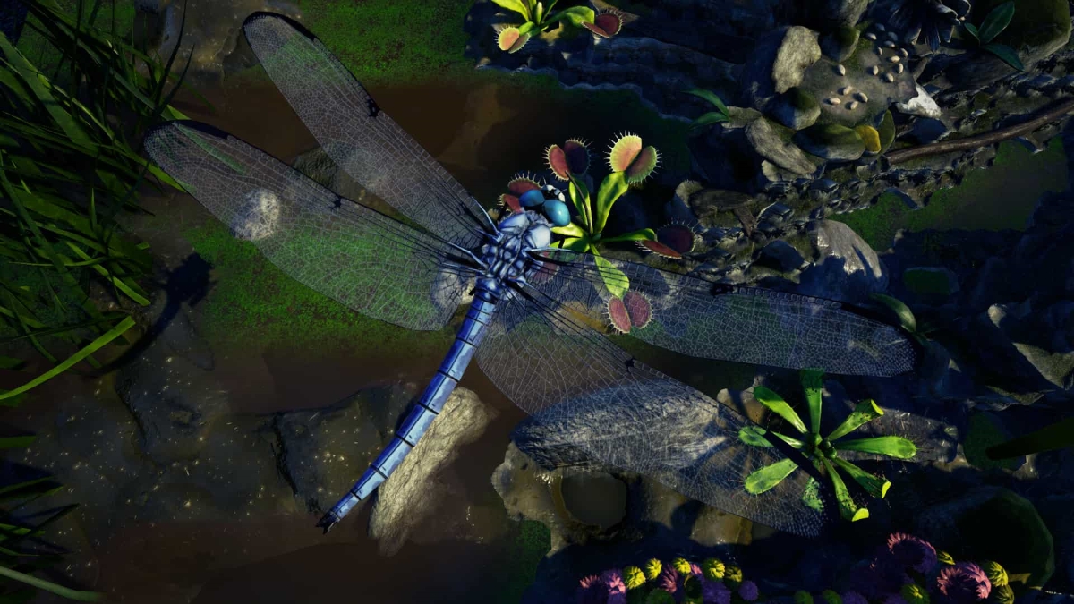 blue skimmer dragonfly in a bridge too far