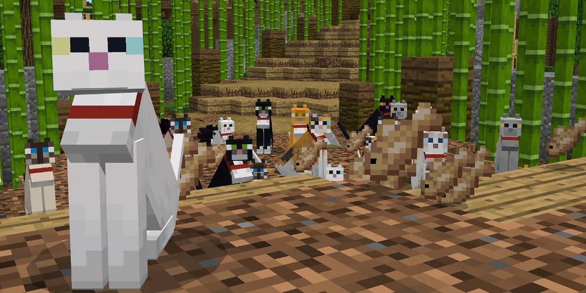 Minecraft screenshot of cat mob