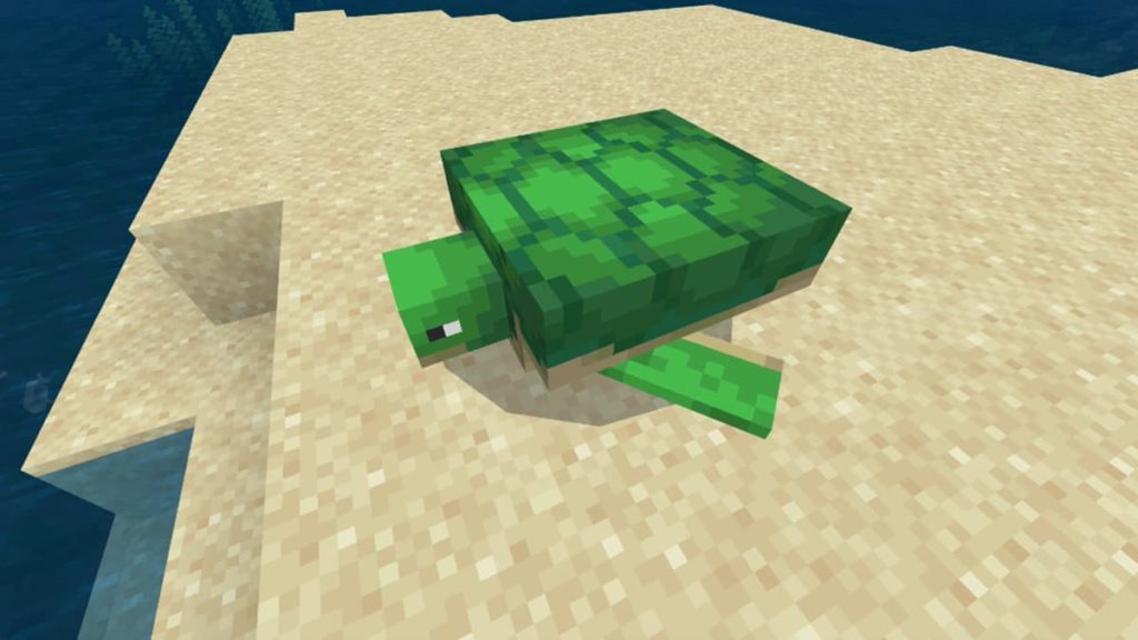 Minecraft sea turtle screenshot