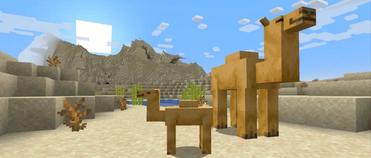 camels in minecraft