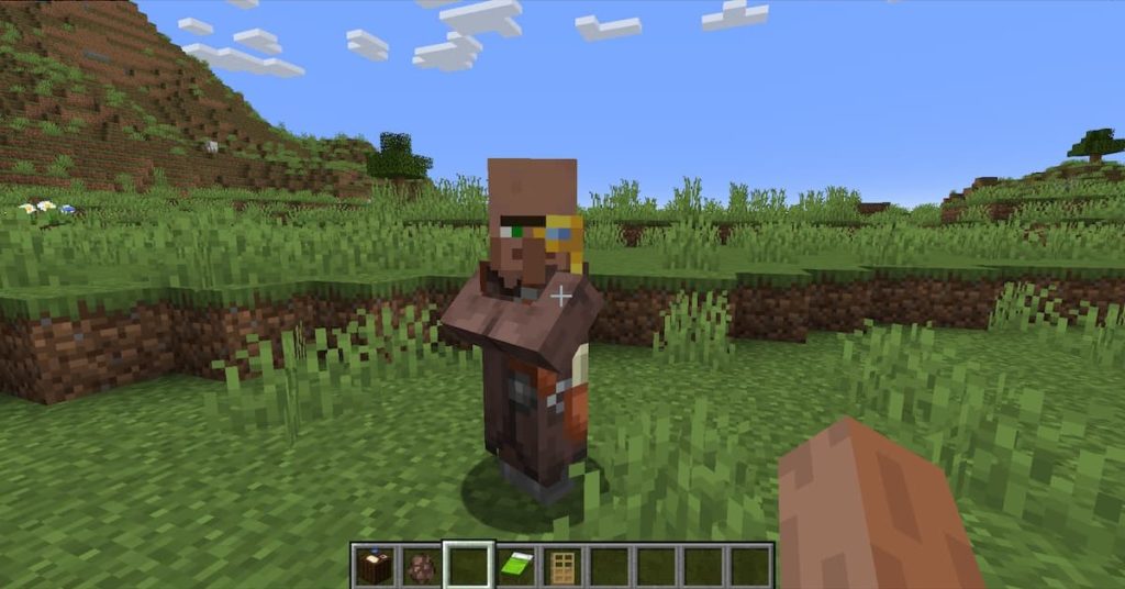 cartographer in minecraft