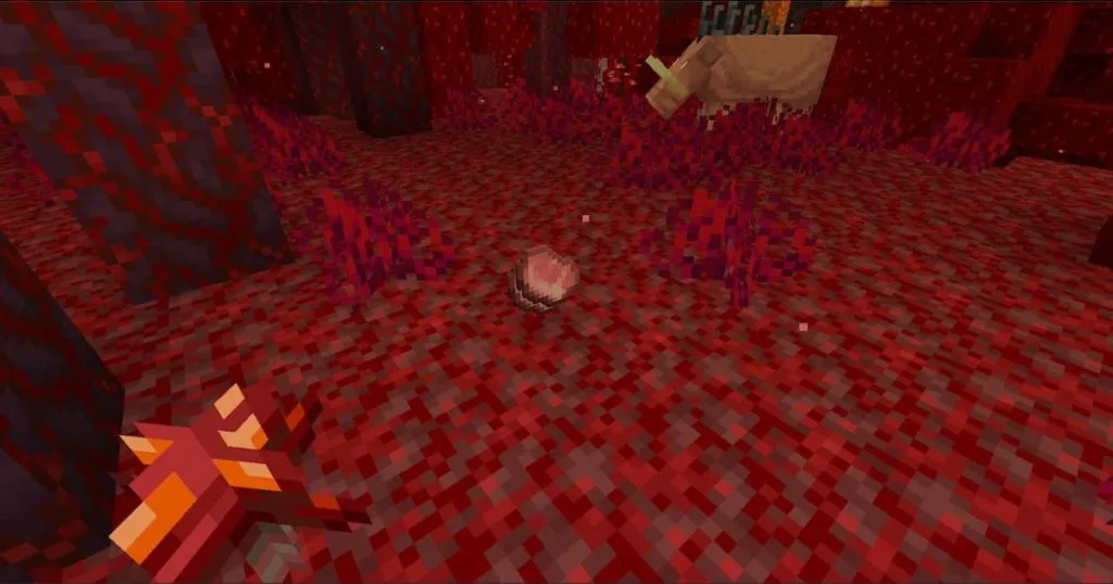 porkchop in nether in minecraft