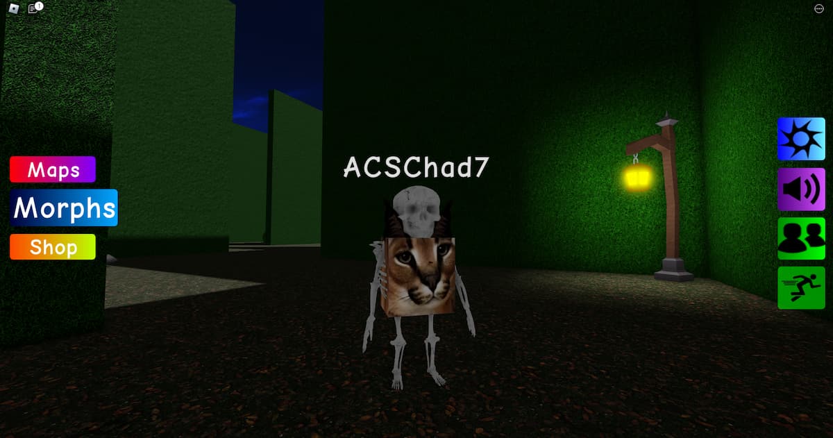 How to find the skeleton floppa in Find the Floppa Morphs Gamer