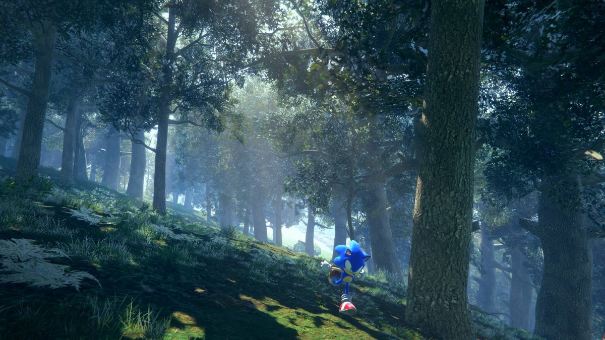 Sonic running through woods