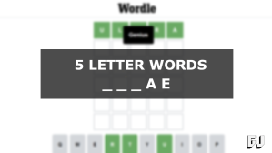 5 Letter Words Ending AE