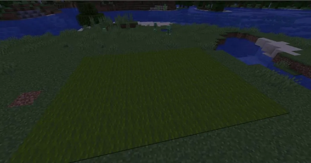 lots of carpet in minecraft