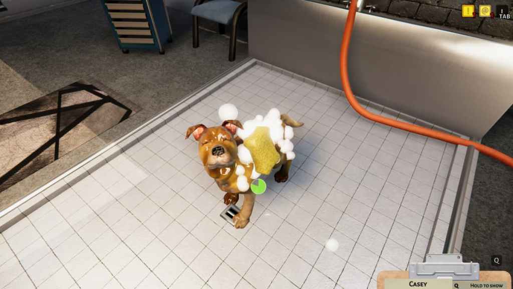 animal shelter simulator clean dog