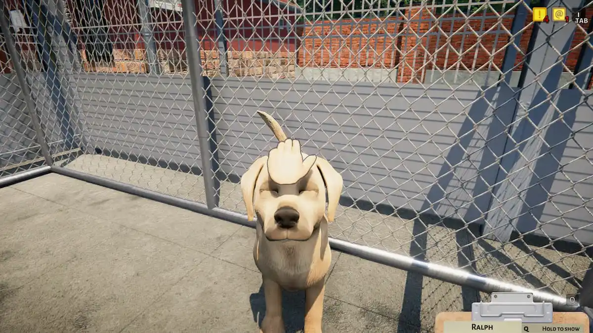 animal shelter simulator pet dog