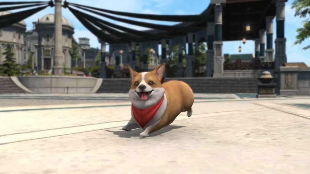 ff14 corgi