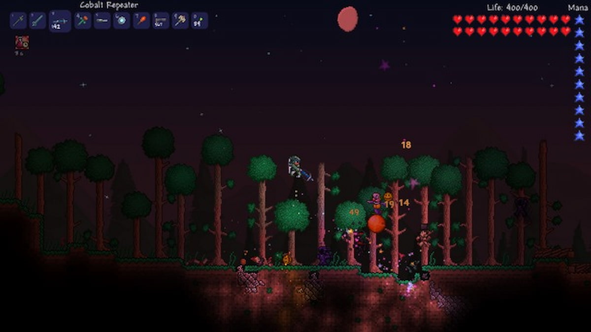 Night time forest in Terraria