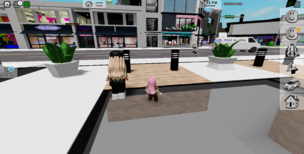 Me (IGplayz8) and my friend (jemmaplayz09) found a glitch that gave us a  hold able sofa in Brookhaven. You can't place it, but we believe it might  be a prob soon! You