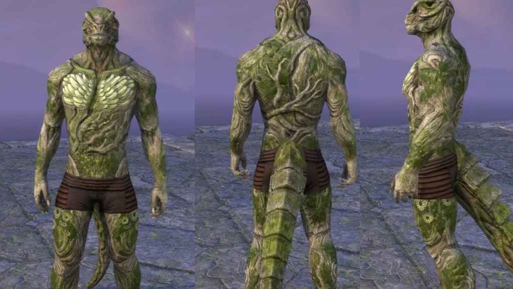 The Elder Scrolls Online Barkroot Blessing skin