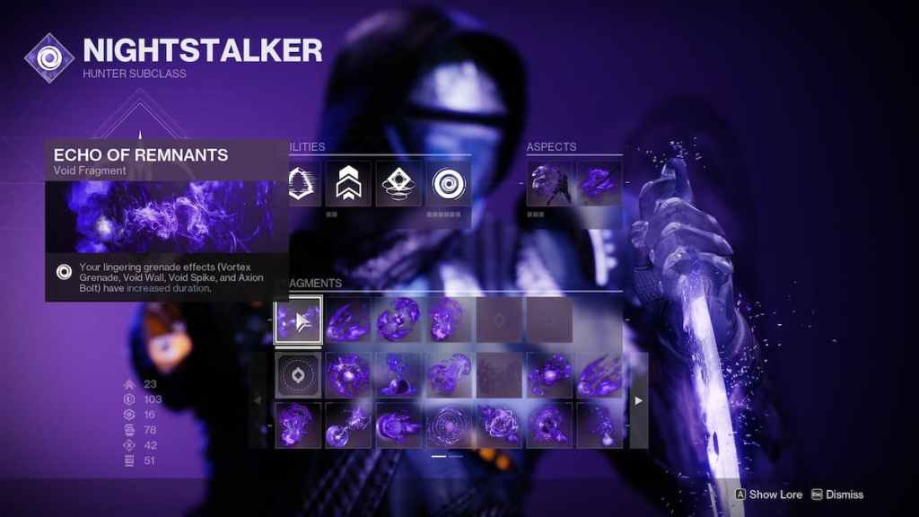 Best Rat King build in Destiny 2 - Void Hunter Fragments. 