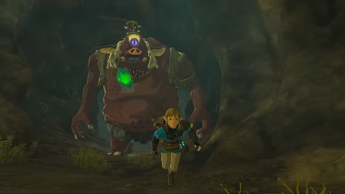 Cave Monster in Zelda Tears of the Kingdom