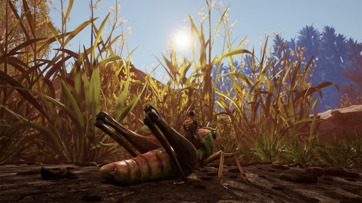 How to Tame a Grasshopper in Smalland: Survive the Wilds | Gamer Journalist