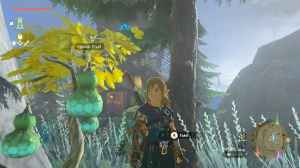 Where to find Splash Fruit in Zelda Tears of the Kingdom featured image