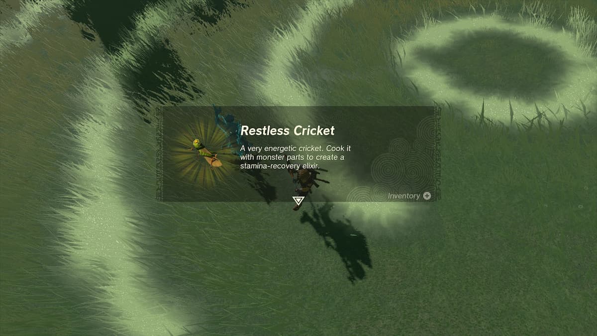 Where to get Crickets in Zelda Tears of the Kingdom featured image