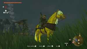 Zelda Tears of the Kingdom Golden Horse Stats – Is It Worth Taming? featured image