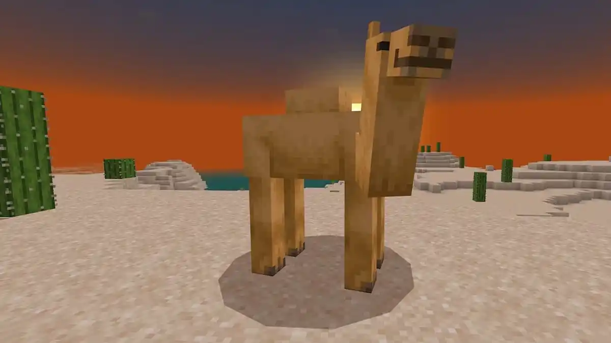 What do Camels eat in Minecraft? featured image