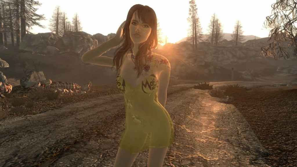Lingerie Mod Fallout 3