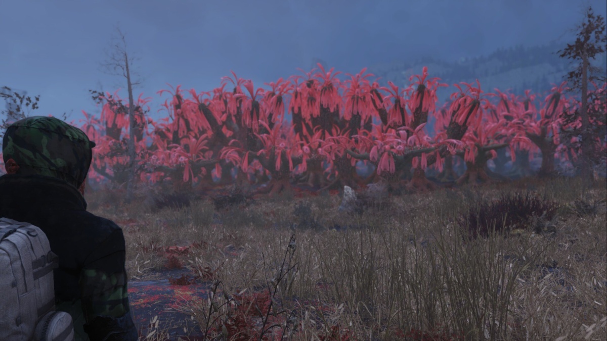 Where Can You Find Cranberries and Diseased Cranberries in Fallout 76