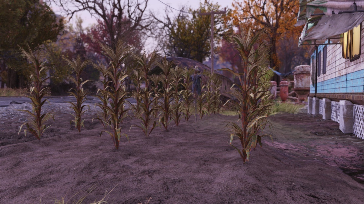 How to Find Farmable Dirt Tiles in Fallout 76? | Gamer Journalist