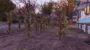 Fallout 76 Farm Tiles